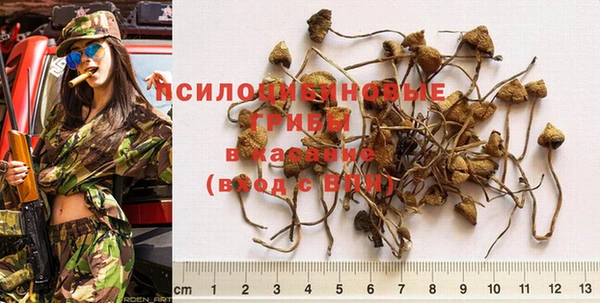 круглые Белокуриха