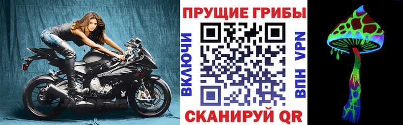 Псилоцибиновые грибы GOLDEN TEACHER  Энем 